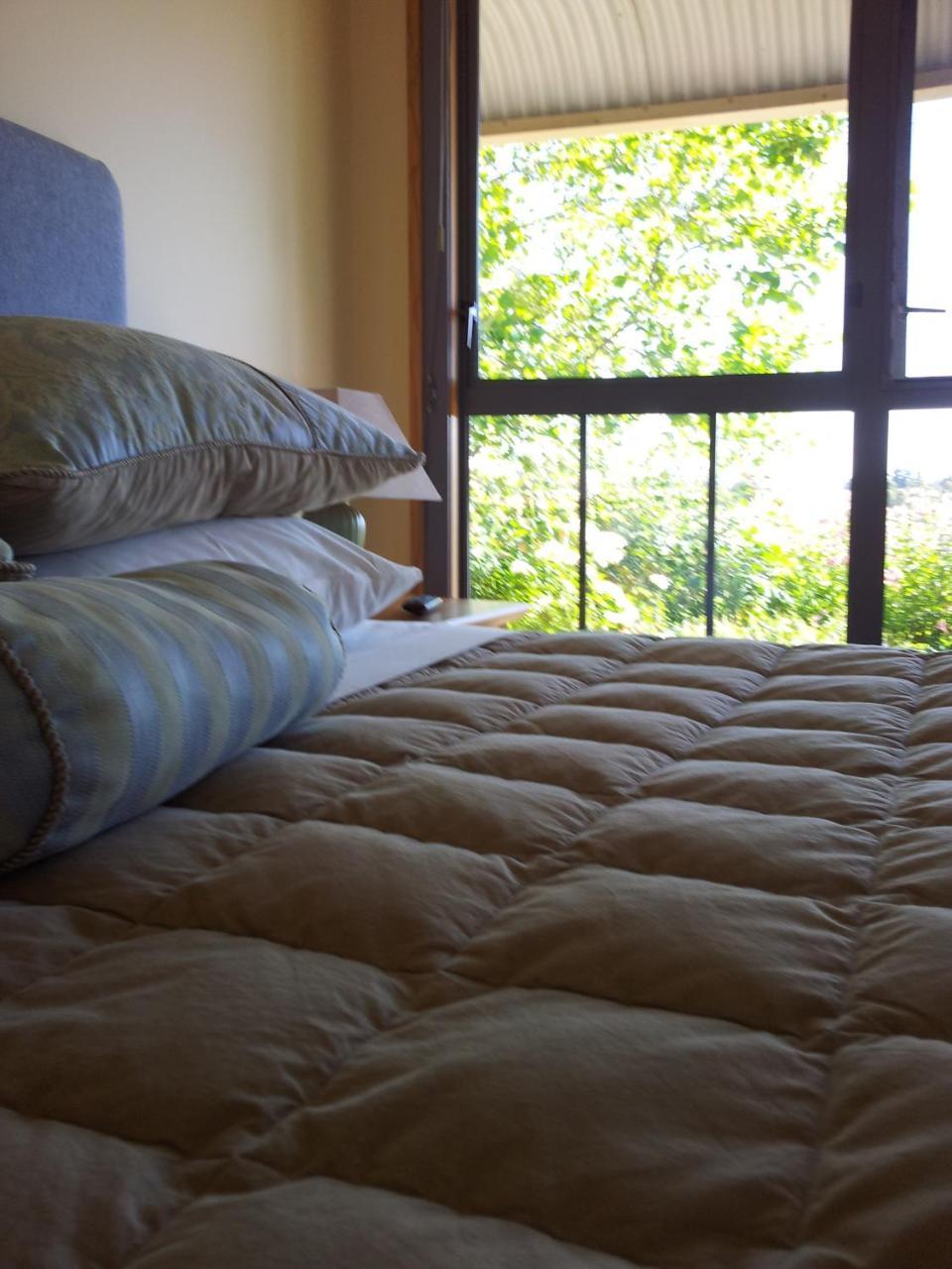 Hawkdun Rise Vineyard & Accommodation 알렉산드라 외부 사진